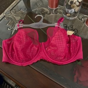 Cacique Sexy Balconette Bra, 44DD, Dark Pink